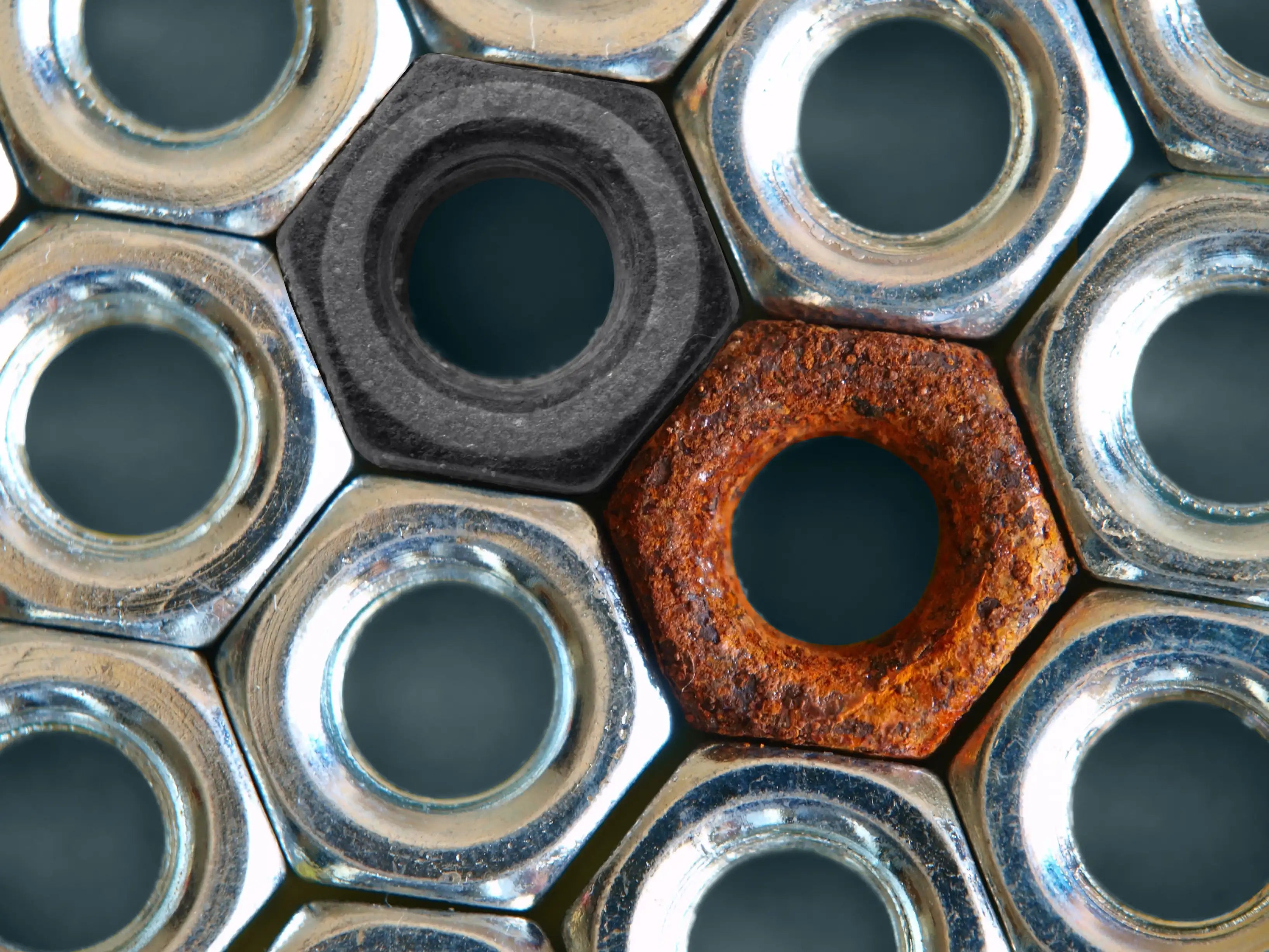 Rustins 2025 rust converter